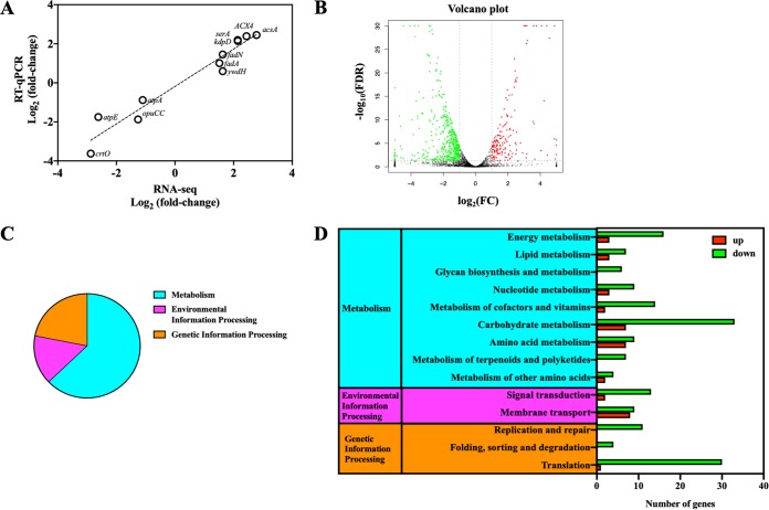 FIG 2