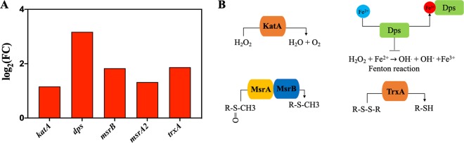 FIG 7