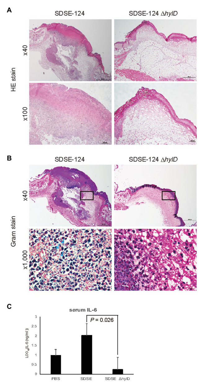 Figure 6