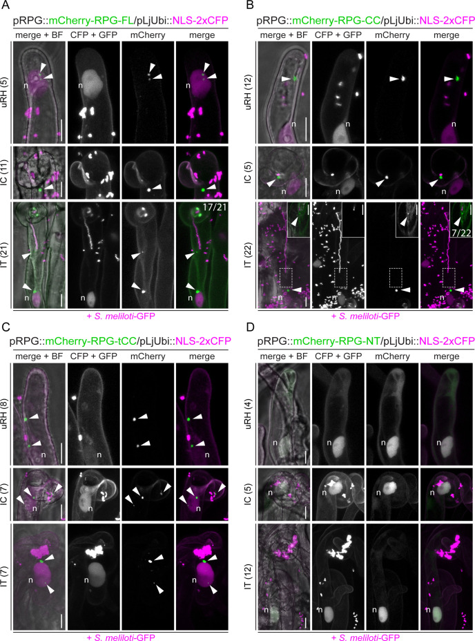 Figure 3—figure supplement 3.