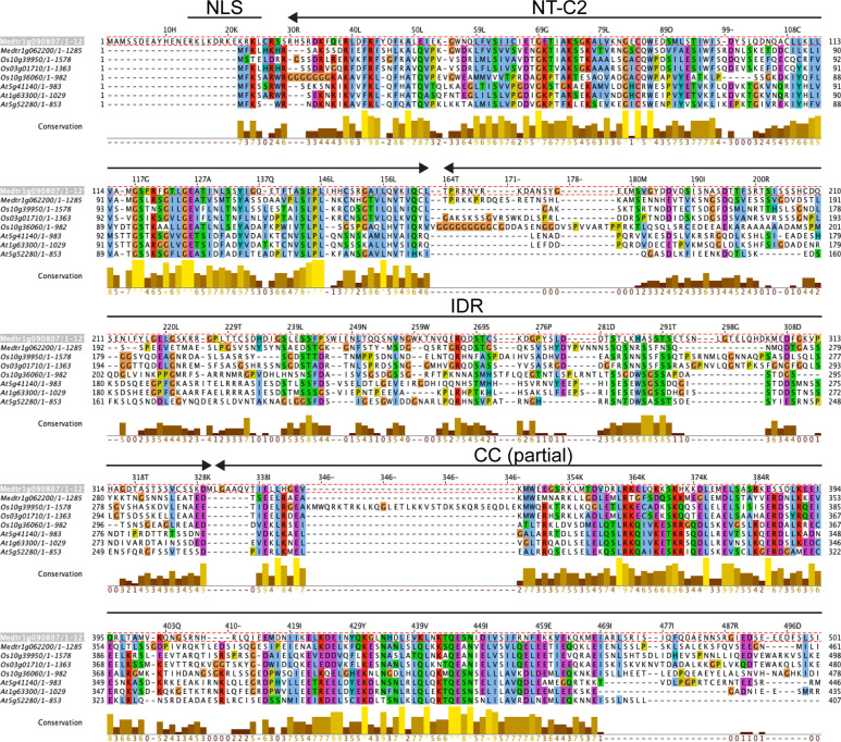 Figure 2—figure supplement 1.