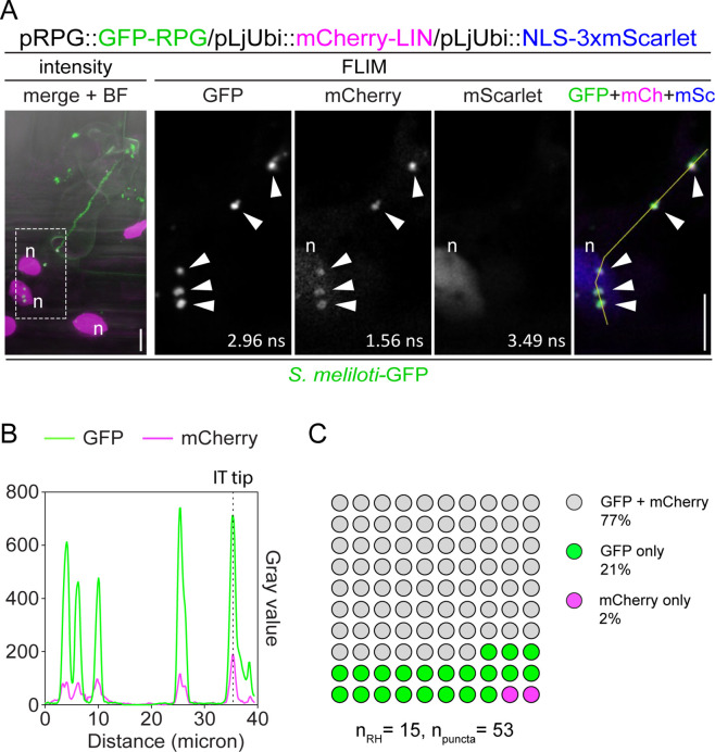 Figure 3—figure supplement 6.