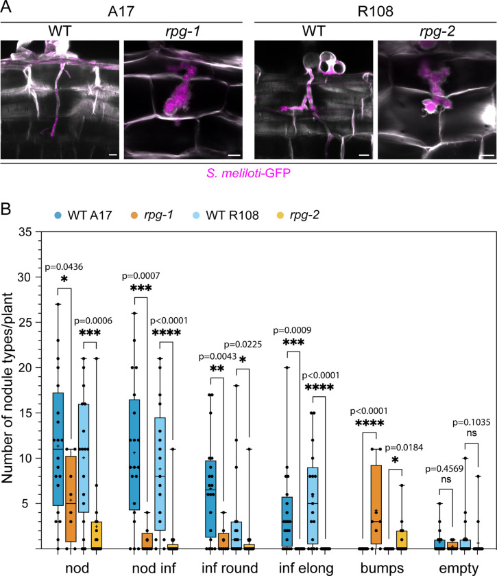 Figure 1—figure supplement 2.