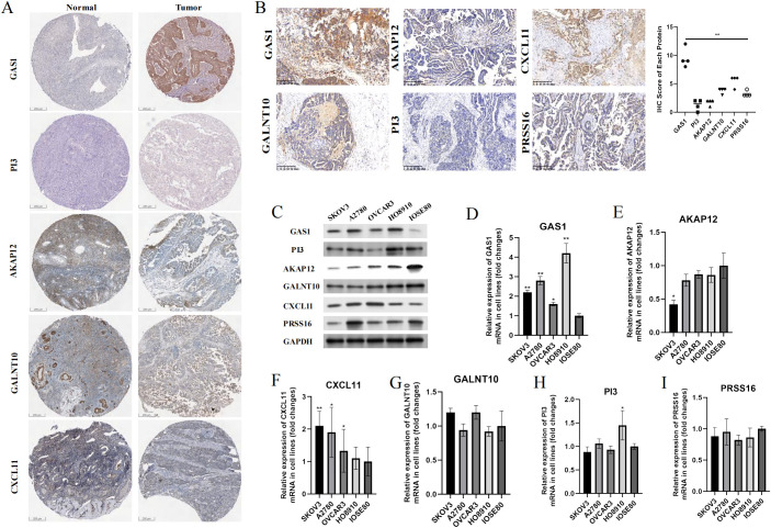 Figure 13