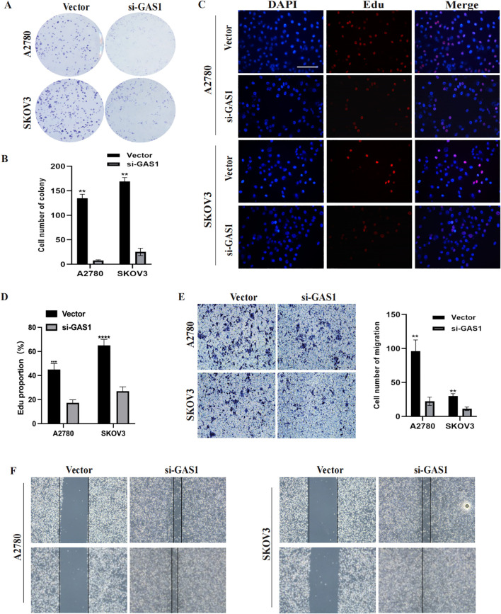 Figure 14