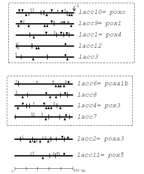 Fig. (1)