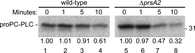 Fig. 9.