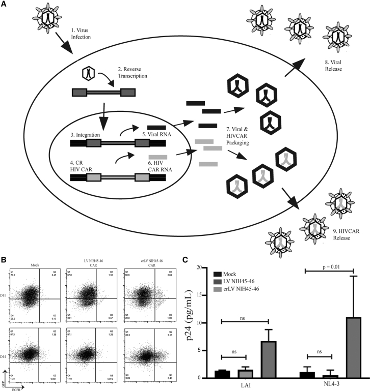 Figure 3