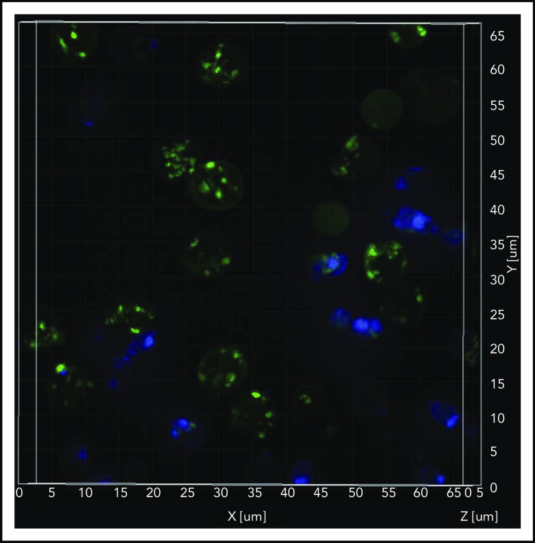 Figure 5.