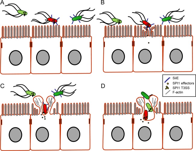 FIG 8