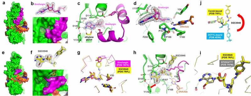 Figure 3.