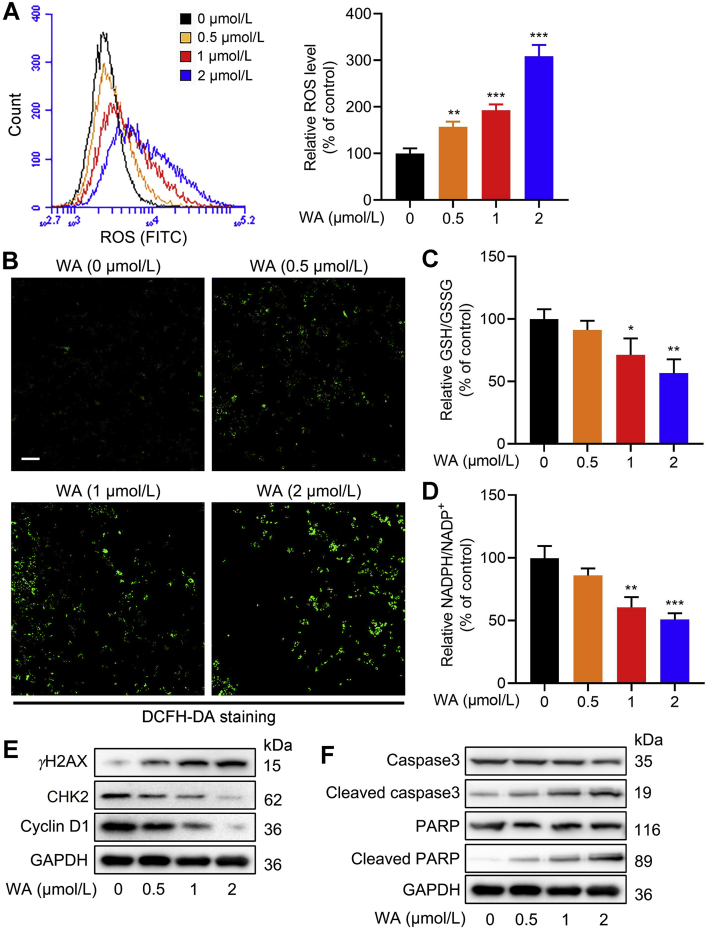 Figure 6