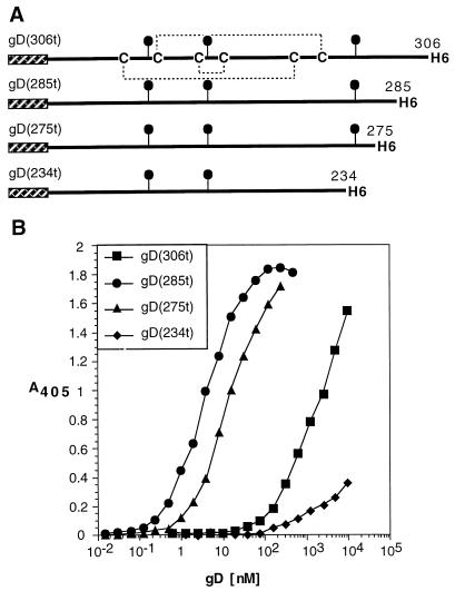 FIG. 7