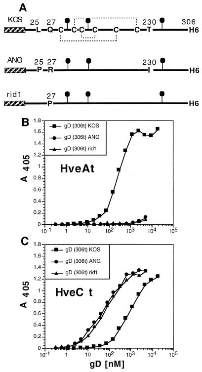 FIG. 5