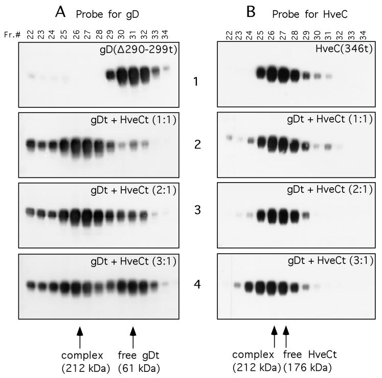 FIG. 9