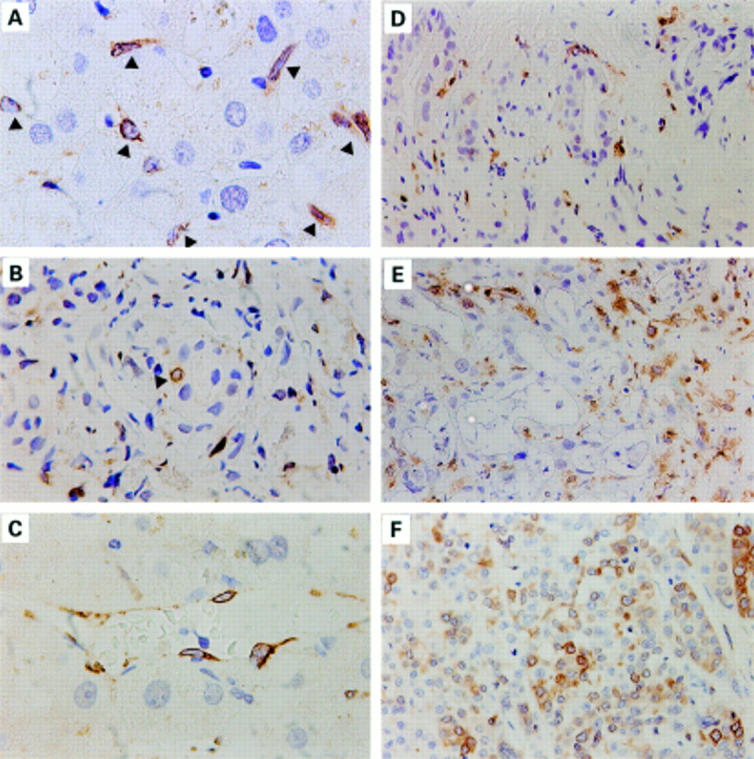 Figure 1  