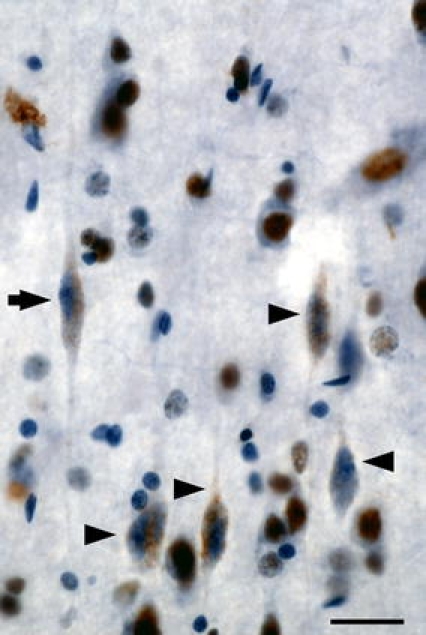 Fig. 4