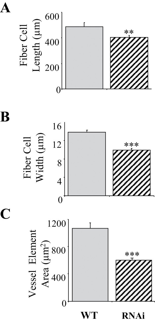 Fig. 9. 