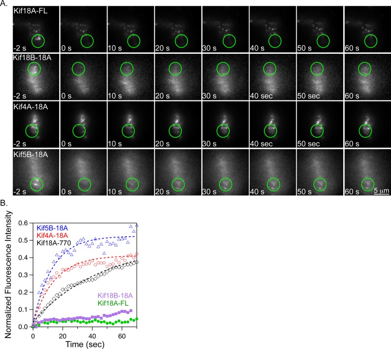 FIGURE 3: