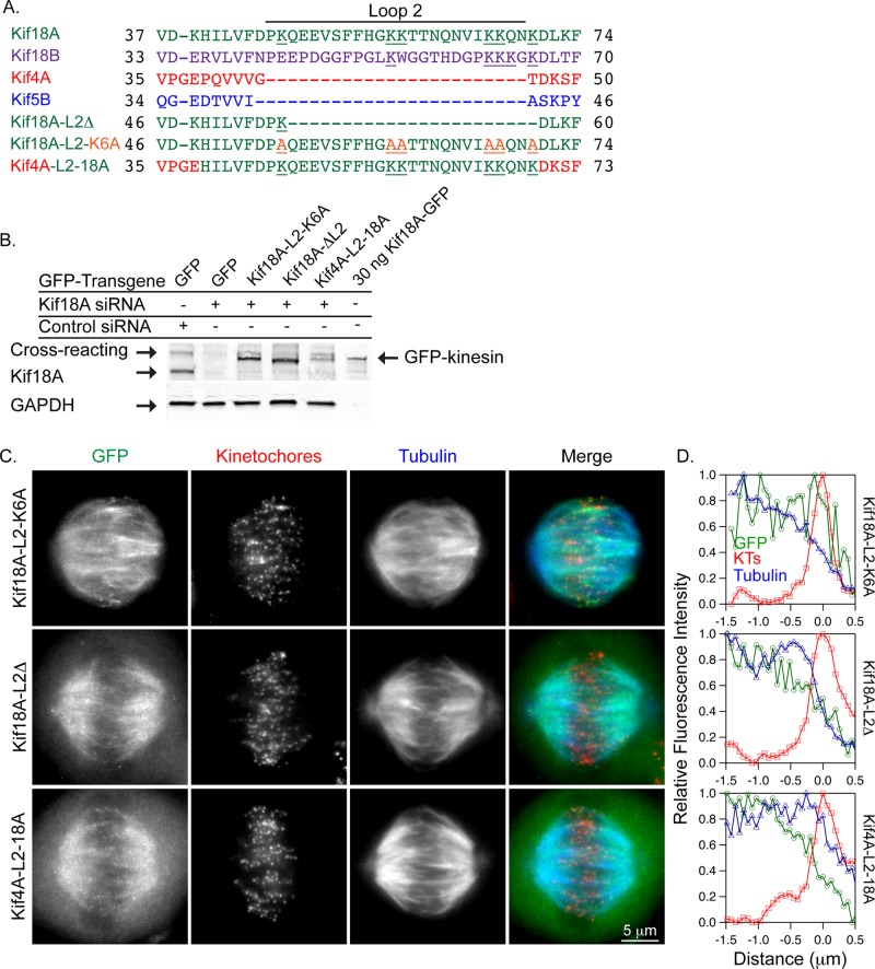 FIGURE 4: