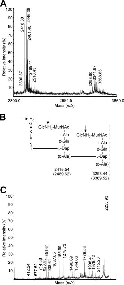 FIG. 5.