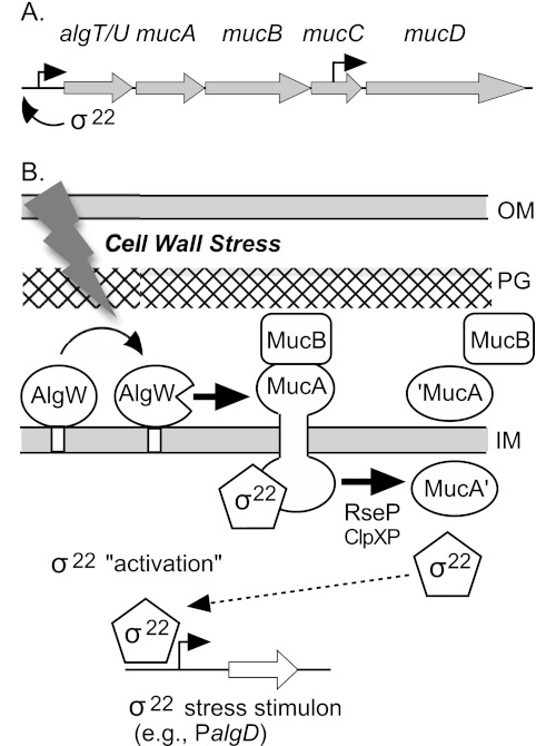 FIG 1 