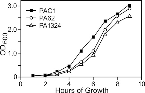 FIG 2 