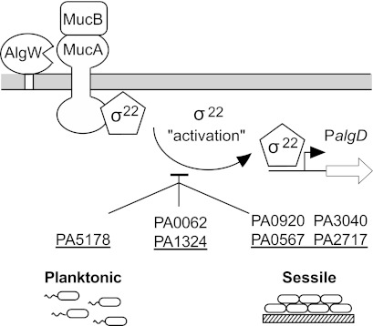 FIG 4 