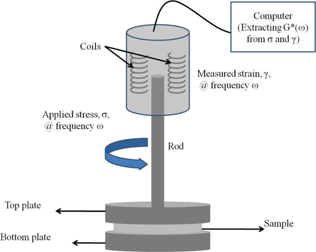 Fig. 2