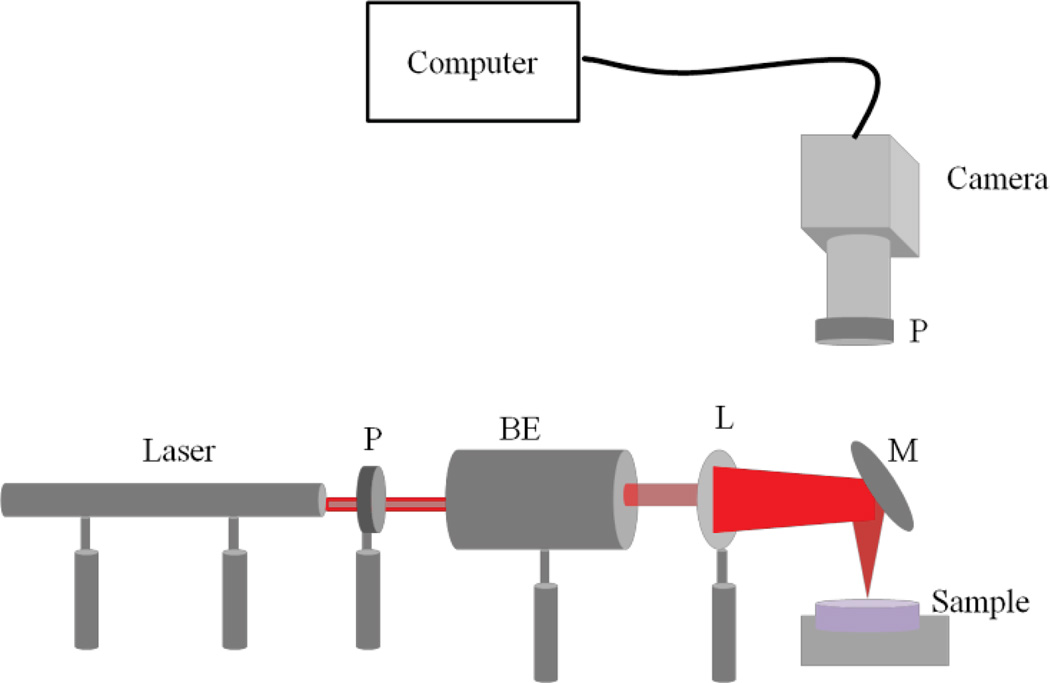 Fig. 1