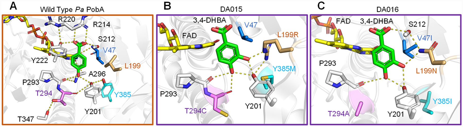 Figure 4.