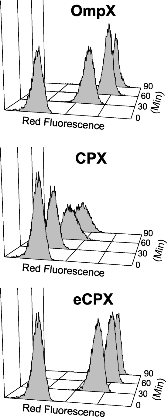 Fig. 1