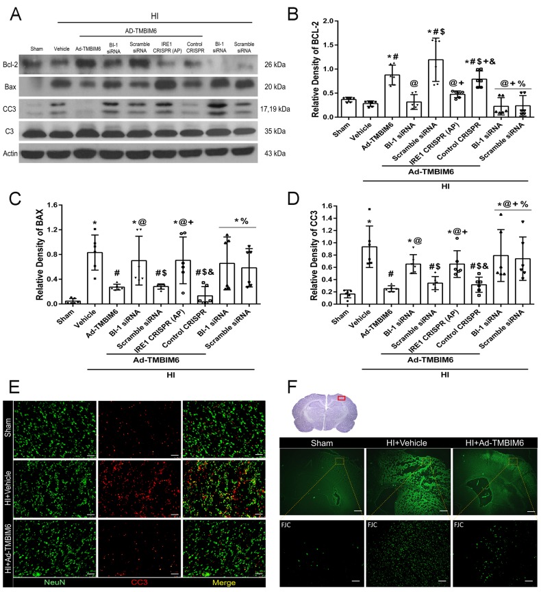 Fig. 6.