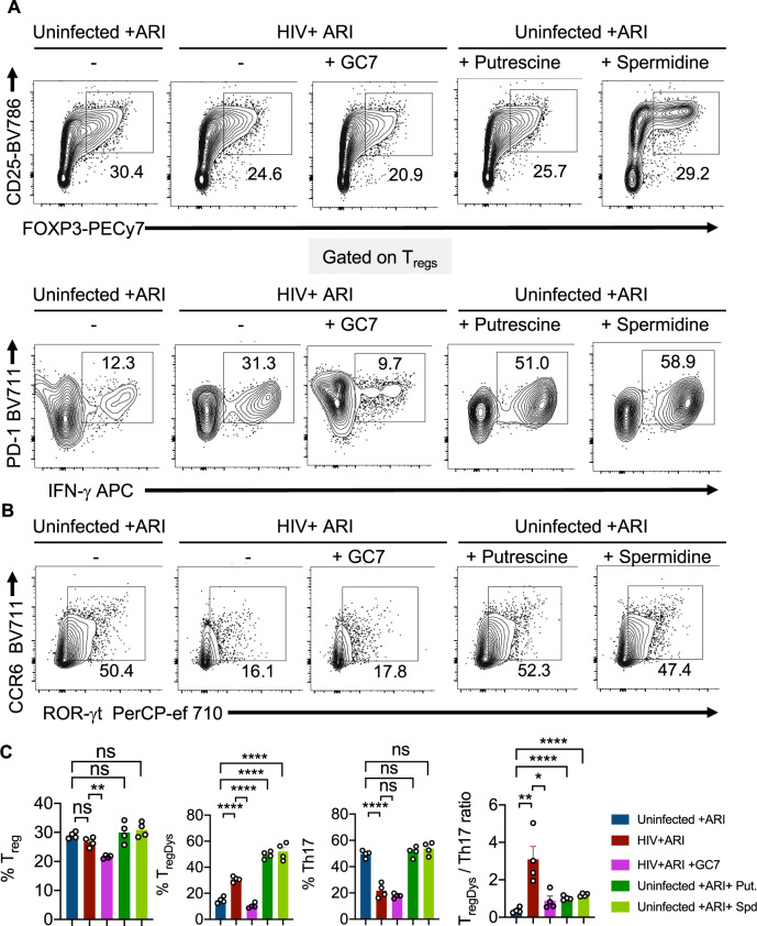 Fig. 7