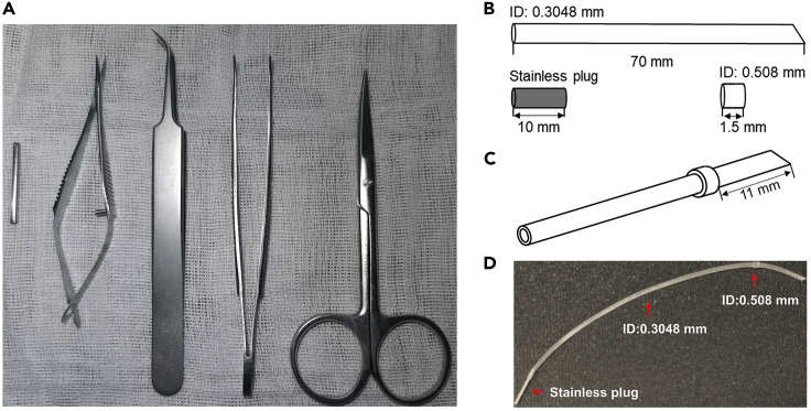 Figure 1