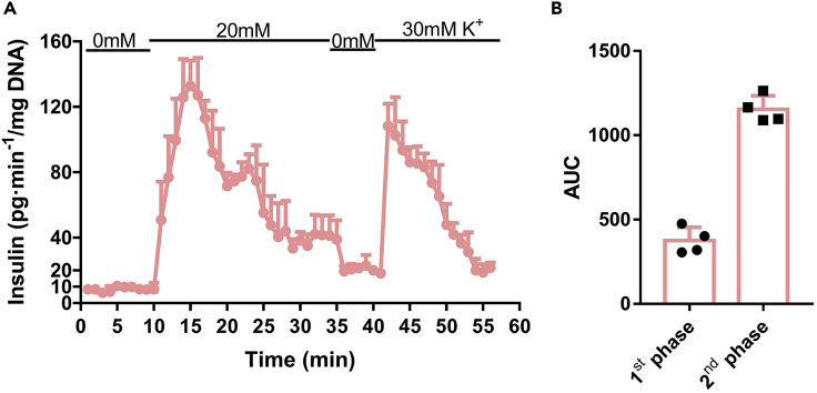 Figure 7