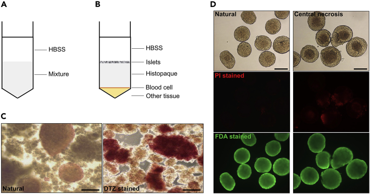 Figure 5