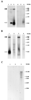 FIG. 3