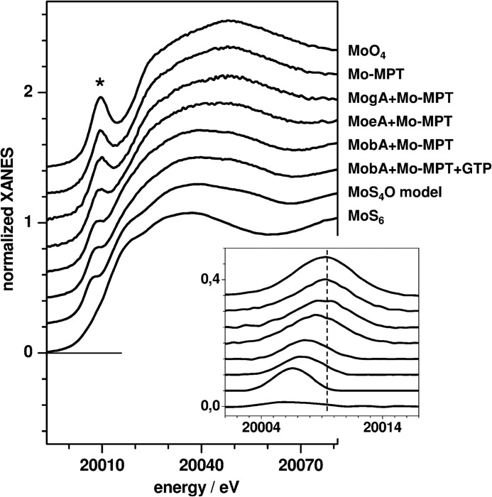 FIGURE 4.