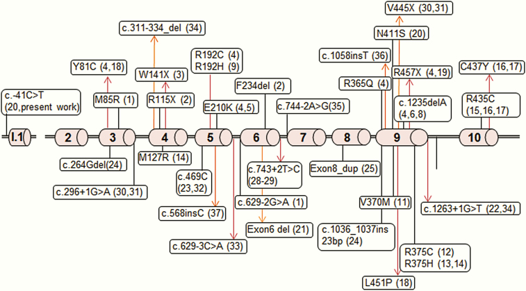 Figure 1.