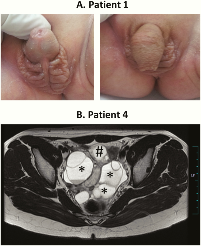 Figure 3.