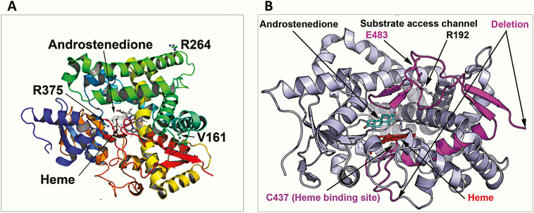 Figure 6.