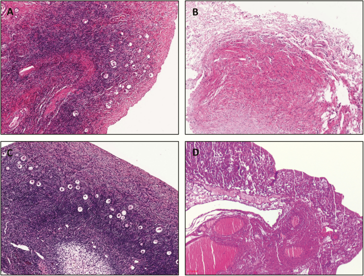 Figure 10.