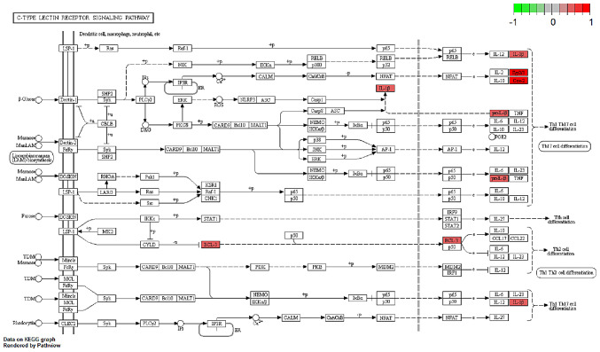 Figure 5.