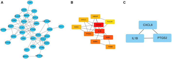 Figure 3.