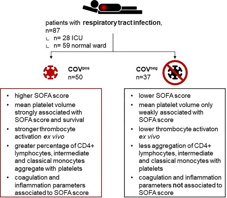 Graphical Abstract