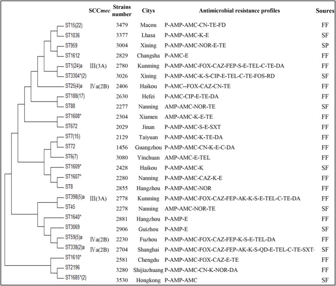 FIGURE 2