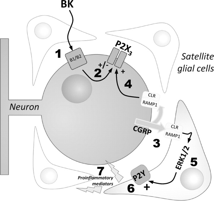 Figure 9.