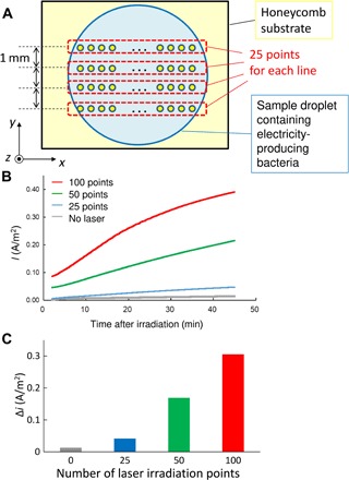 Fig. 4