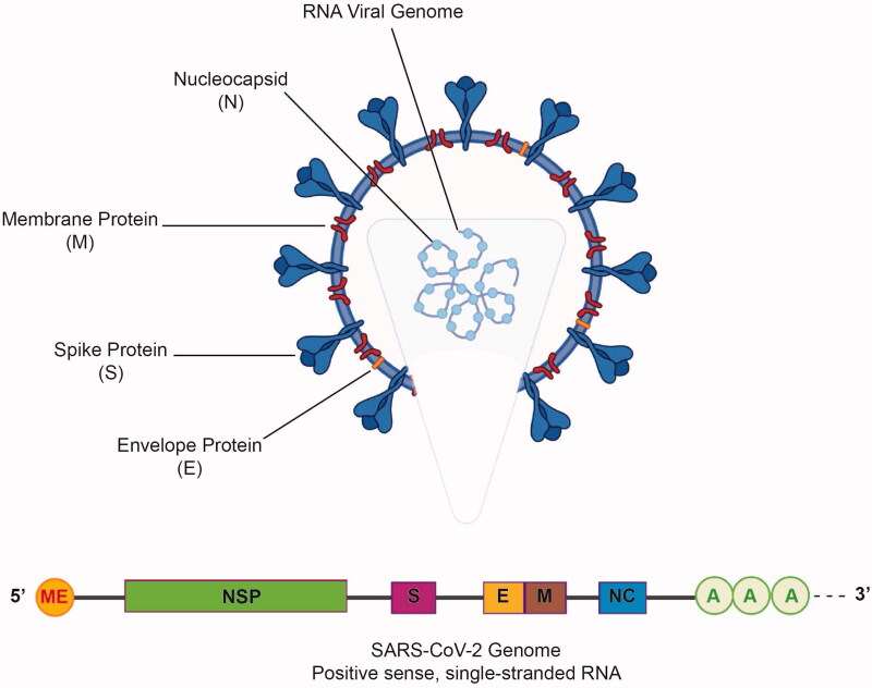 Figure 1.